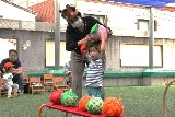 2歳児にじ組の「親子であそぼう」3